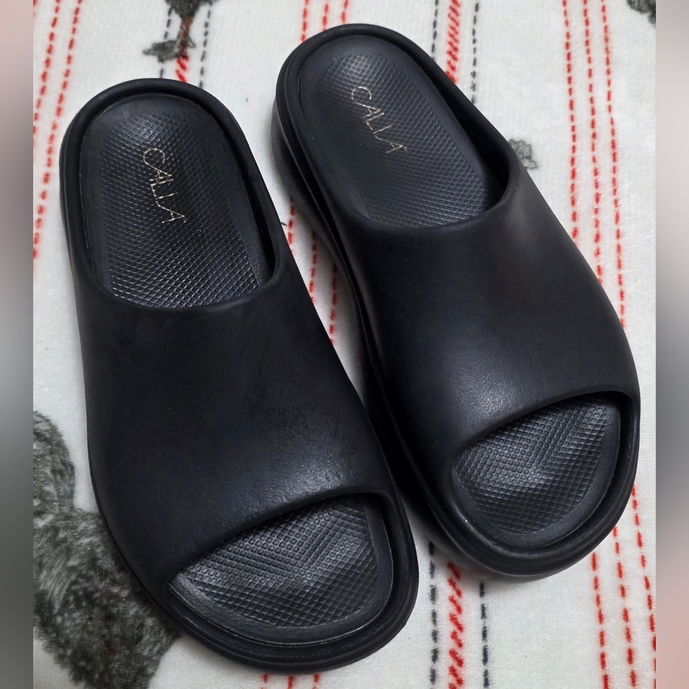 CALIA platform slides